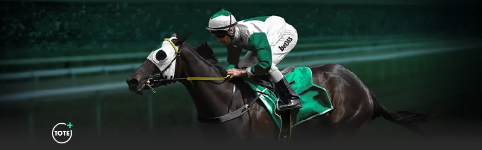 托納利助攻,萊奧,米兰第,世界杯赛程,2026世界杯,赛事安排,比赛时间,全场次信息